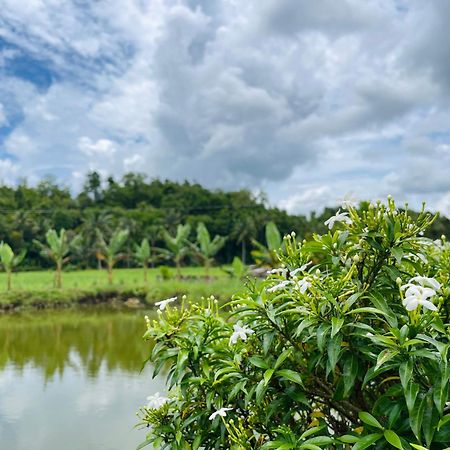 Jazz Ferme Inn Batuan Bohol Kültér fotó