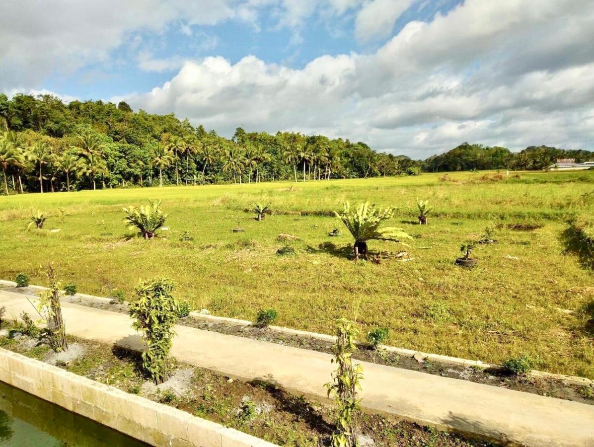 Jazz Ferme Inn Batuan Bohol Kültér fotó