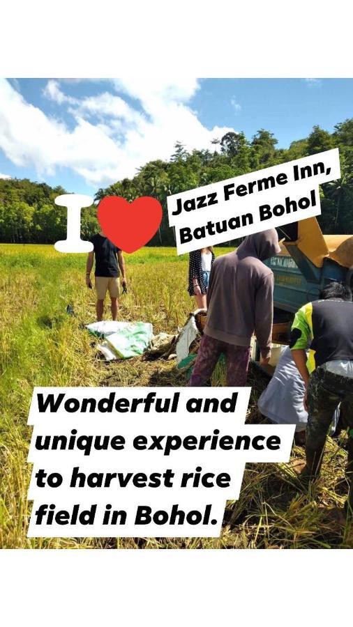 Jazz Ferme Inn Batuan Bohol Kültér fotó