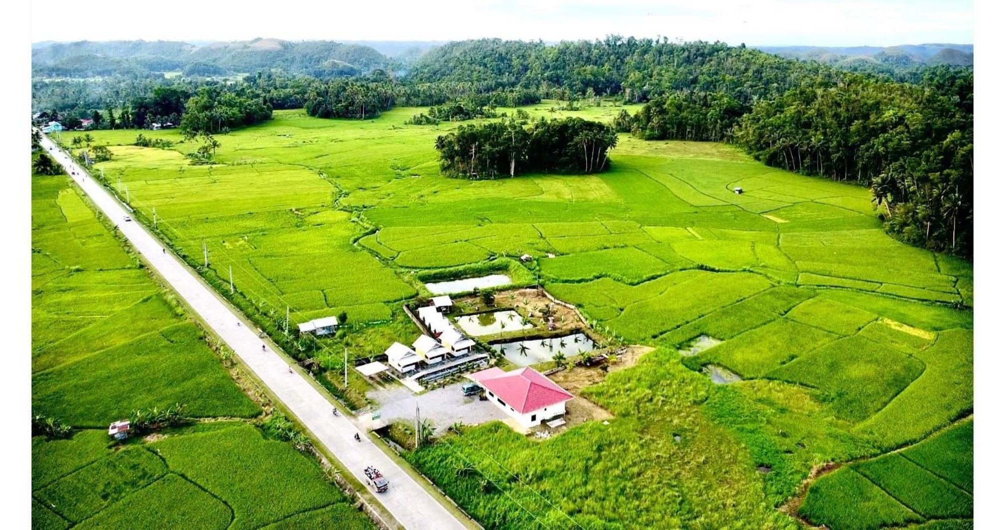 Jazz Ferme Inn Batuan Bohol Kültér fotó