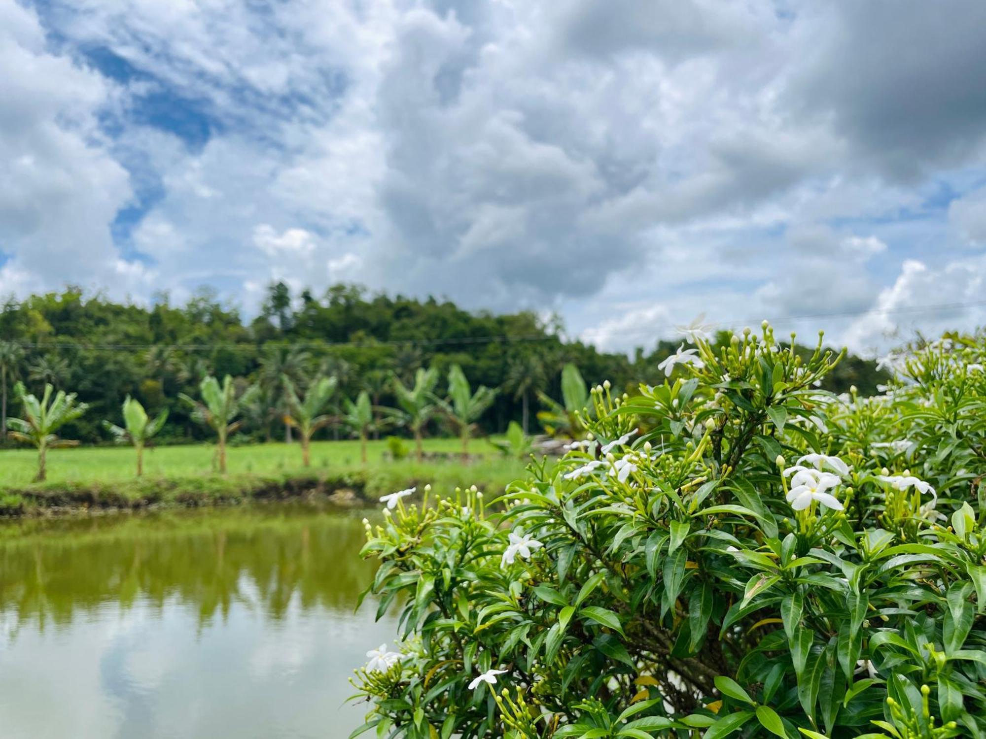 Jazz Ferme Inn Batuan Bohol Kültér fotó