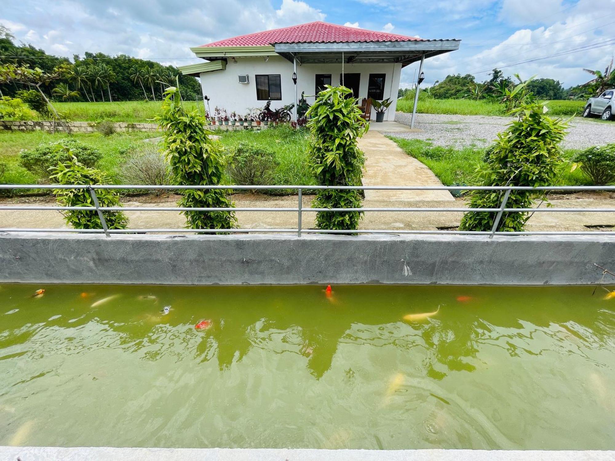 Jazz Ferme Inn Batuan Bohol Kültér fotó