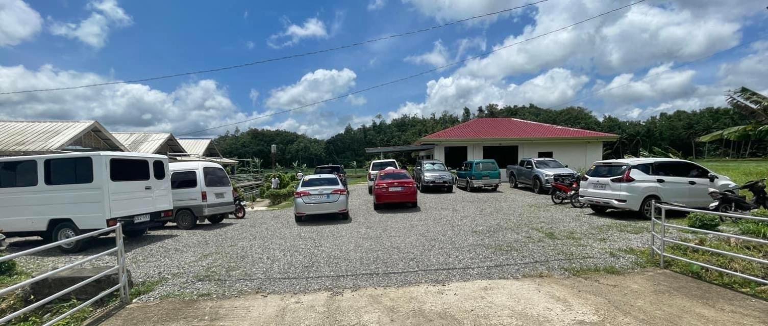 Jazz Ferme Inn Batuan Bohol Kültér fotó
