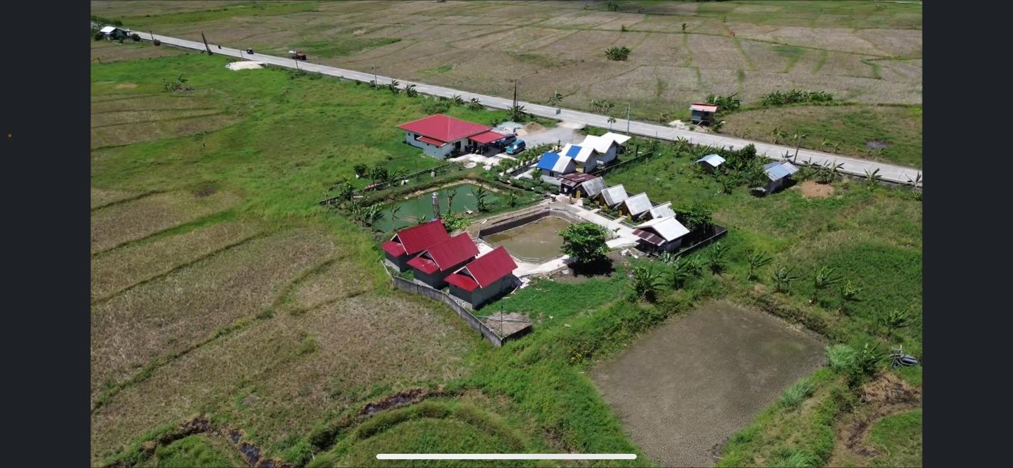 Jazz Ferme Inn Batuan Bohol Kültér fotó