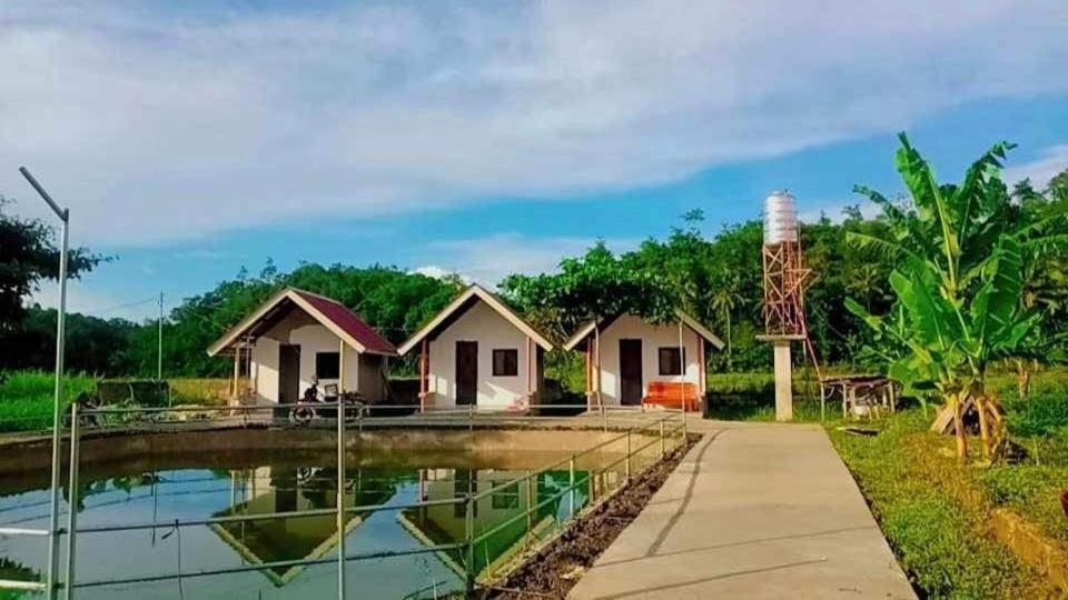 Jazz Ferme Inn Batuan Bohol Kültér fotó